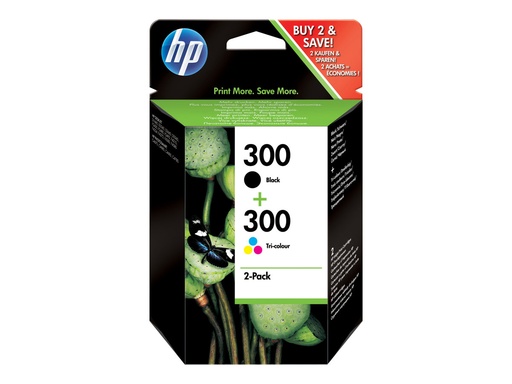 [70546] Inkt HP 300 Combo Pack